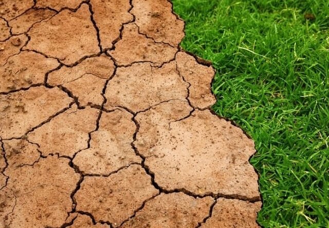 El Niño pode impactar todo o ciclo da soja na safra 26/27 por pelo menos nove meses