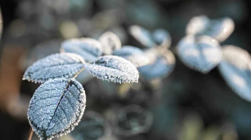 Frente fria provoca queda nas temperaturas e mantém risco de geada em três estados
