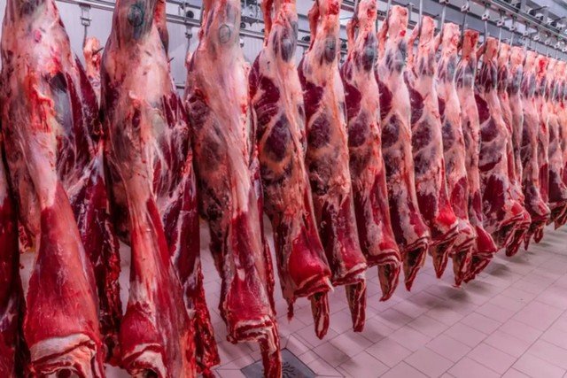 Governo se surpreende com veto da UE a carnes brasileiras e busca reverter decisão