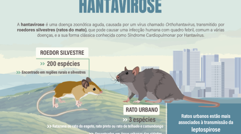 Hantavírus em cruzeiro no Atlântico: sintomas e informações sobre a doença