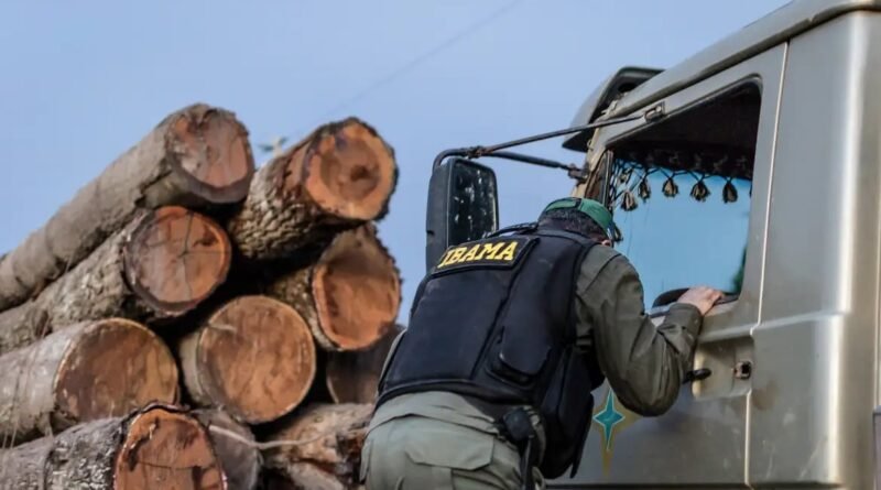 Justiça mantém multa de R$ 4,5 milhões para infrator ambiental em Roraima