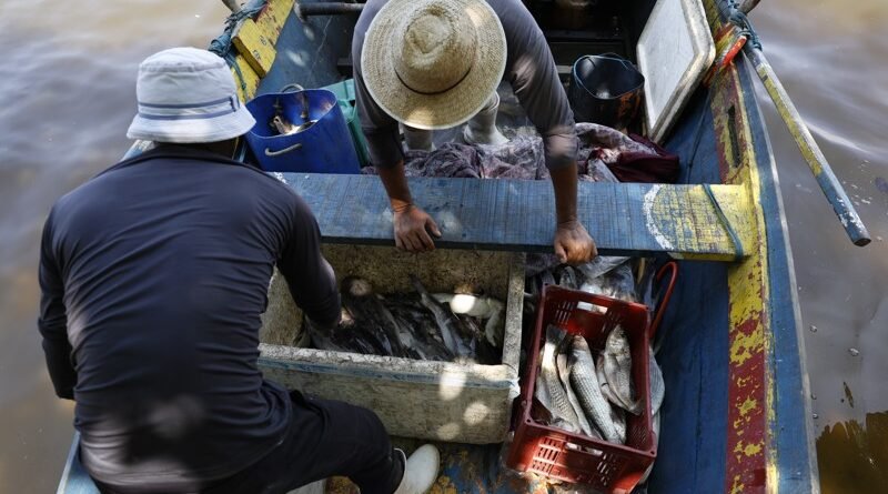 Lula sanciona lei que institui a semana da pesca artesanal no Brasil
