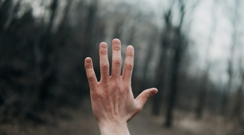 Mãos humanas: uma maravilha da engenharia biológica em processo de desvendamento