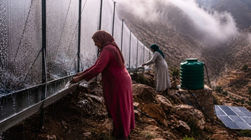 Mulheres em Marrocos escalam montanhas para transformar neblina em água potável diante do avanço do deserto e desaparecimento das aldeias