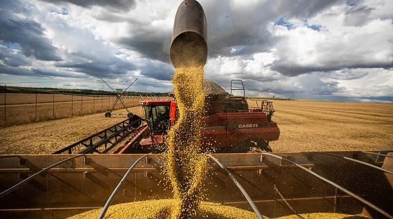 Negócios parados no Brasil com a queda das cotações de soja em feriado nos EUA