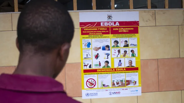 OMS declara emergência de saúde pública global por surto de ebola