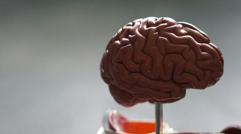 Pesquisadores descobrem mecanismo oculto do Alzheimer e identificam candidatos promissores para tratamento