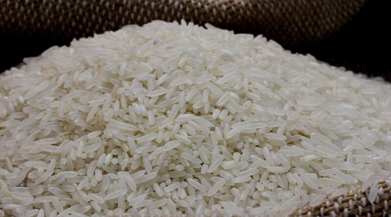 Preço do arroz alcança maior média desde setembro de 2025 em meio à lentidão do mercado no Rio Grande do Sul