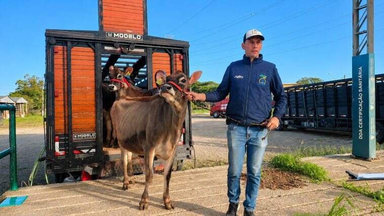 Santa Catarina é o primeiro estado a apresentar animal na Fenasul Expoleite 2026