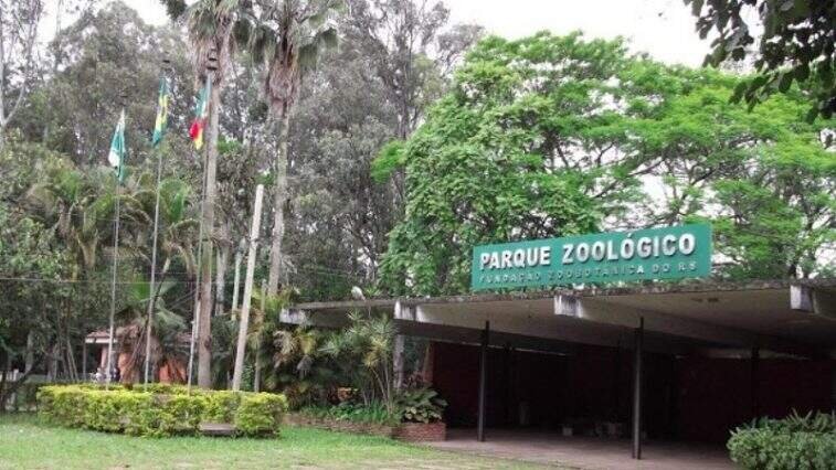 Suspensa visita ao Parque Zoológico de Sapucaia do Sul após morte de 15 cisnes