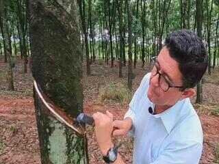 Tecnologia e gestão transformam agro no noroeste paulista