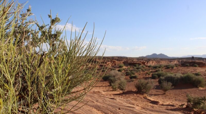 Vencedor do Nobel desenvolve máquina que extrai até mil litros de água por dia do ar em desertos