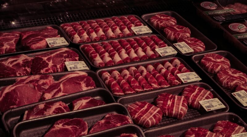 Veto à carne brasileira revela divergências nas decisões da União Europeia e do Mercosul