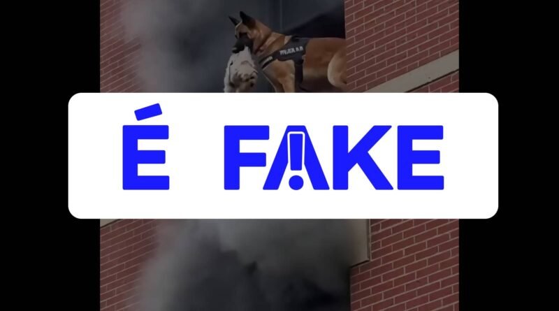 Vídeo de cão policial salvando shih tzu de prédio em chamas é falso e gerado por inteligência artificial
