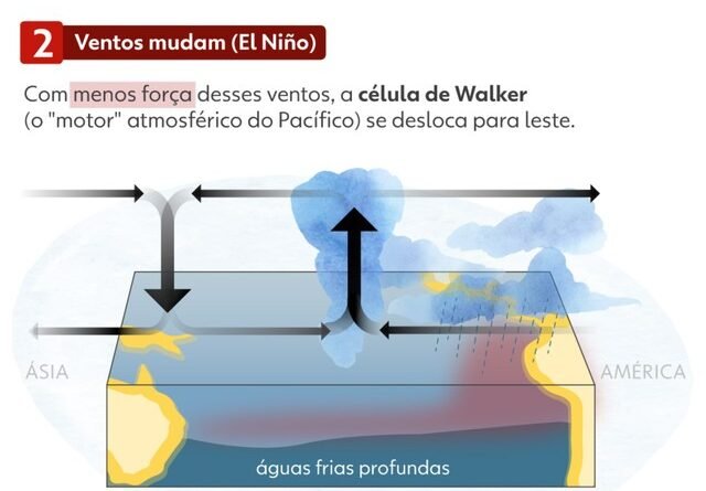 Aumento do preço do açúcar: possíveis consequências da saída da Índia do mercado