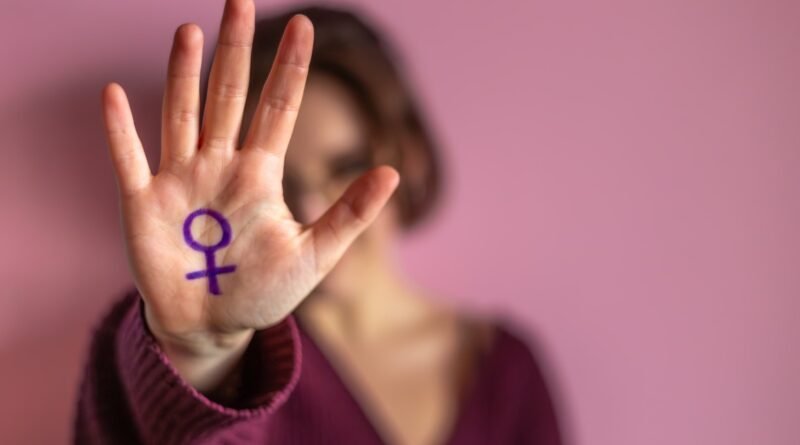 Banco de boas práticas na proteção à mulher é discutido em Plenário