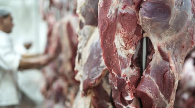 Brasil alcançará cota de exportação de carne para a China em agosto com queda no preço do boi gordo