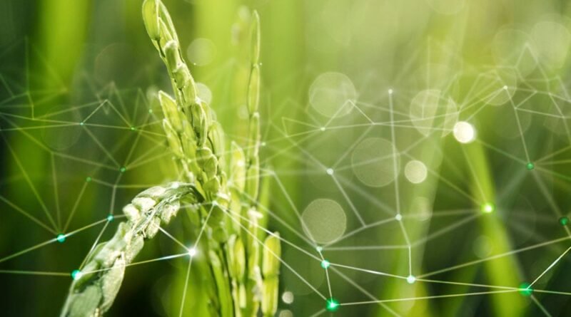 Brasil detém 78% das agtechs da América Latina, revela estudo da Embrapa