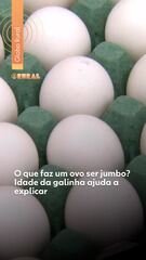 Brasil estabelece novo protocolo para retomar exportações de carne bovina à União Europeia
