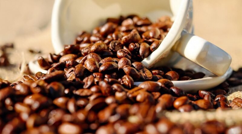Colheita de café no Brasil atinge 30% da safra 2026/27, mas apresenta atraso