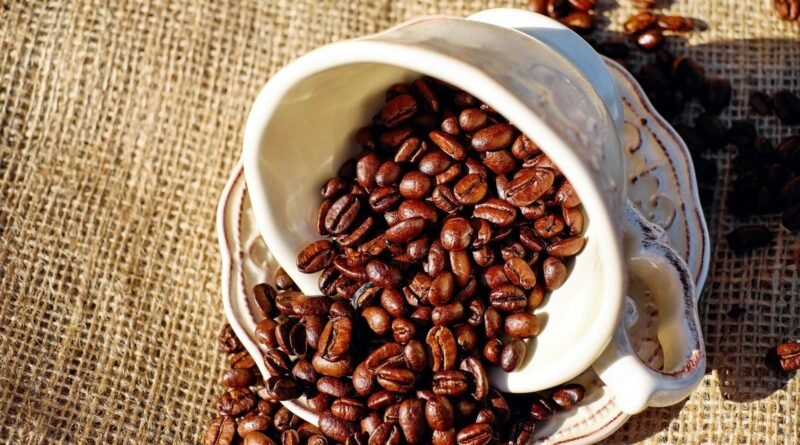 Colheita de café no Brasil avança, mas ainda está aquém do ritmo histórico