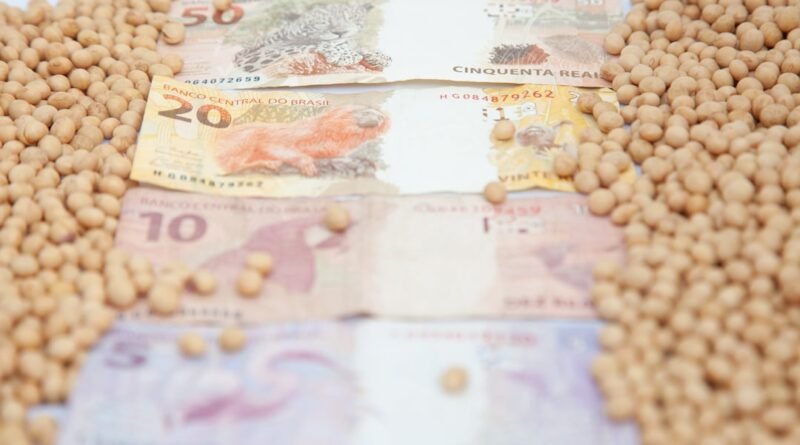 Dólar influencia preços da soja, mas negócios permanecem paralisados