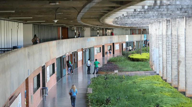Empregabilidade de graduados pode impactar avaliação de instituições de ensino