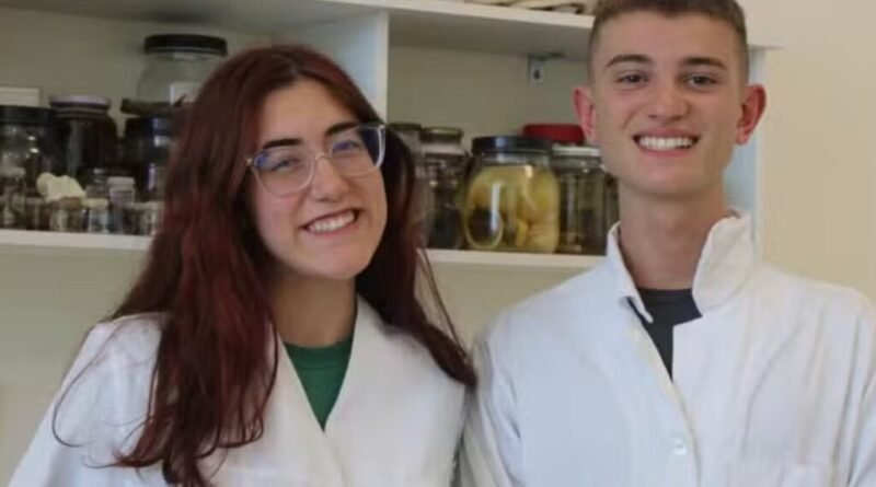 Estudantes gaúchos desenvolvem curativo de babosa e camomila que se dissolve em 48 horas e conquistam prêmio ambiental juvenil global