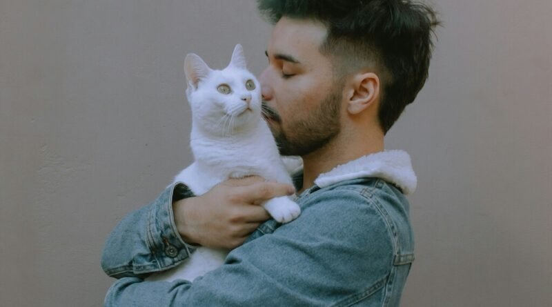Estudo aponta que acariciar gatos pode aumentar o estresse em vez de aliviá-lo