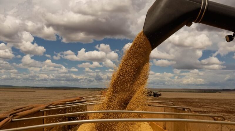 Exportações do agronegócio crescem 8% e alcançam US$ 16 bilhões em maio