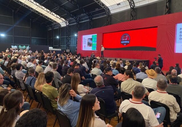 Feicorte integra tecnologia, genética e negócios para alavancar a pecuária brasileira