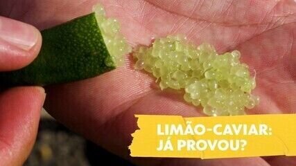 Figo revela mecanismo surpreendente de digestão de vespas e não é fruta nem planta carnívora