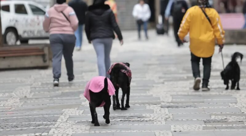 Frente fria traz possibilidade de tempestade para o Sul do País nesta semana