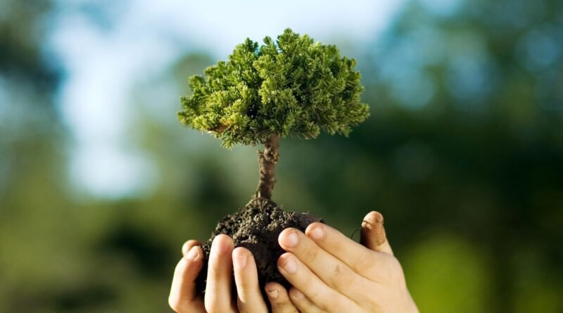 Inscrições abertas para a Semana de Ação Climática