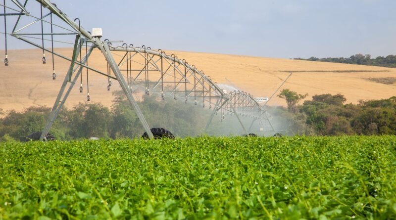 Irrigação pode aumentar em quase R$ 9 mil por hectare o valor de produção agrícola