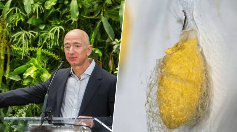 Jeff Bezos destina US$ 34 milhões para pesquisas em tecidos sustentáveis com fibras de bactérias e algodão colorido