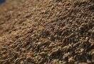 Leilão comercializa 22,7 mil toneladas de arroz gaúcho