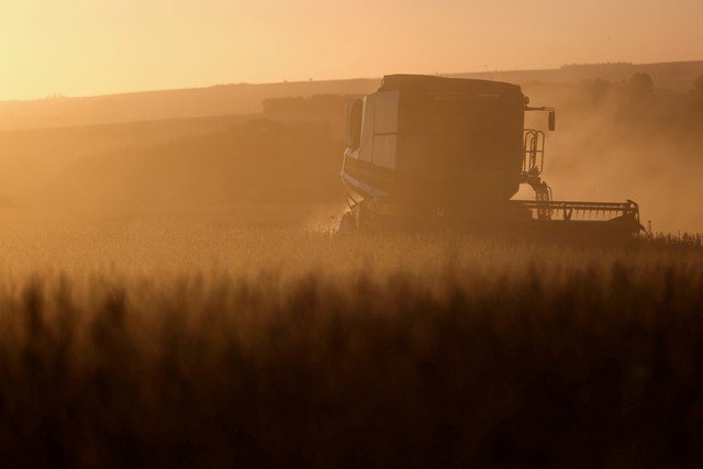 Leilões de propriedades rurais crescem no Brasil devido ao aumento da inadimplência no setor agrícola
