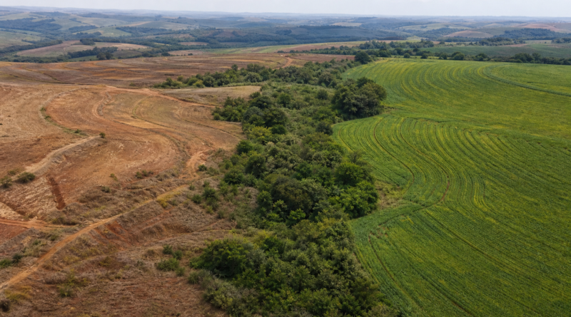 Lideranças promovem integração entre clima, biodiversidade e solo no Rio