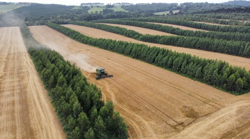 Ministério da Agricultura anuncia Plano Safra para 30 de junho sem a presença de Lula