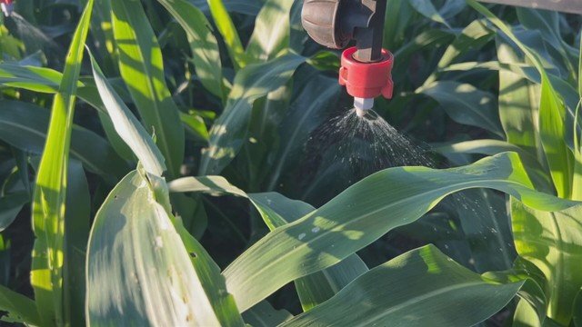 Novas tecnologias do Agro 5.0 transformam rotina no campo e reduzem desperdício no interior de SP