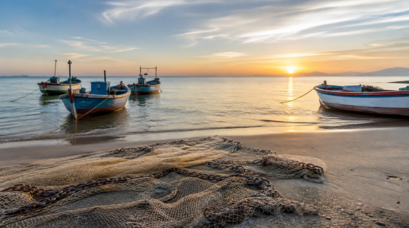 Pesca de tainha por arrasto de praia é suspensa após atingir cota limite