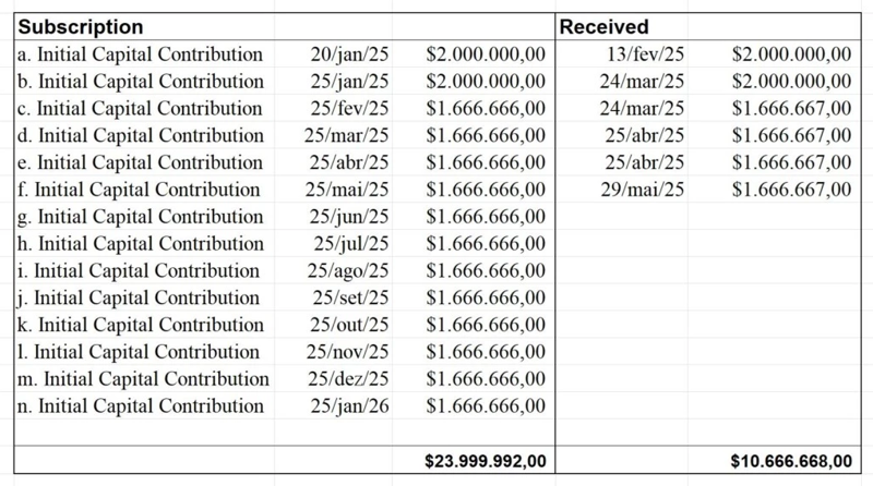 Planilha revela pagamentos de US$ 10,6 milhões da Vorcaro para a Dark Horse