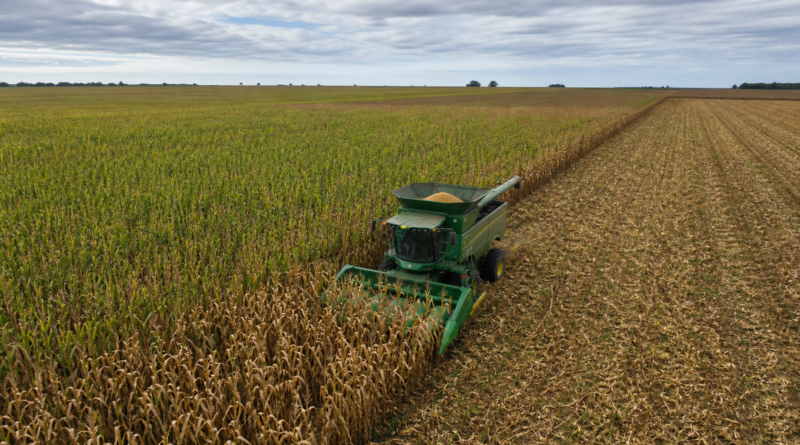 Plano Safra 2026/27 destina R$ 525,1 bilhões ao setor agrícola