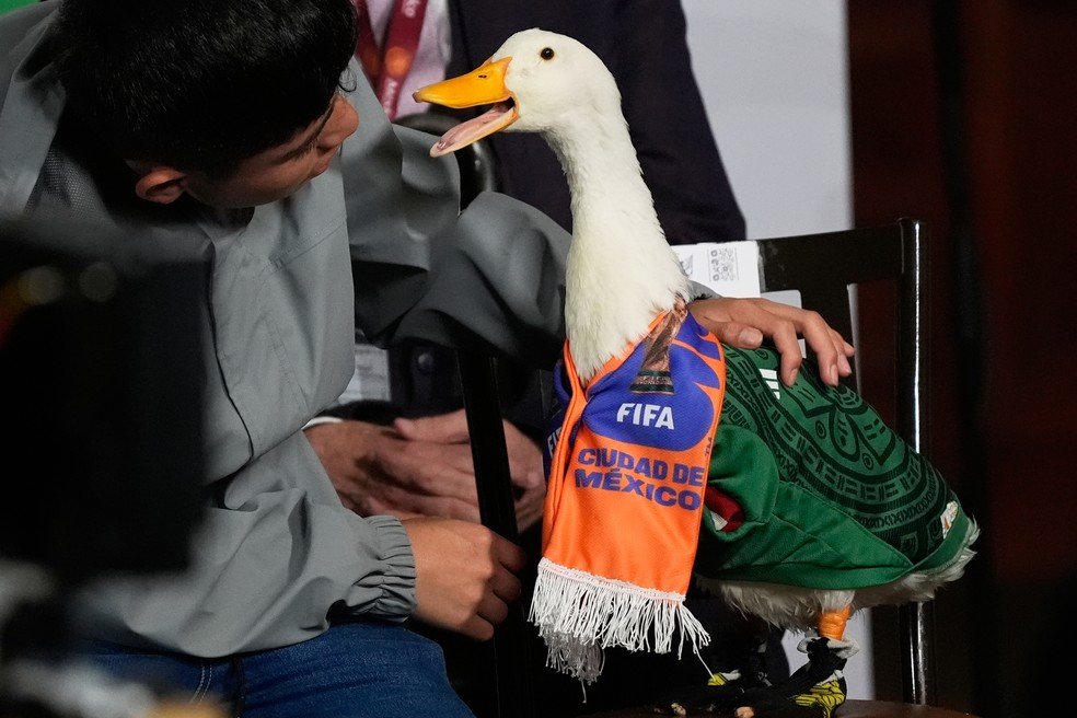 Pato Merlin Copa do Mundo no México