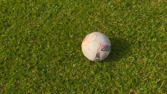 Produtores de grama em Itapetininga aumentam vendas com a proximidade da Copa do Mundo