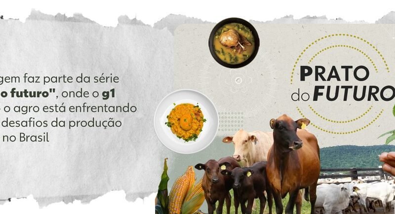 Projetos inovadores combatem desperdício de alimentos e seus impactos na fome e no agronegócio