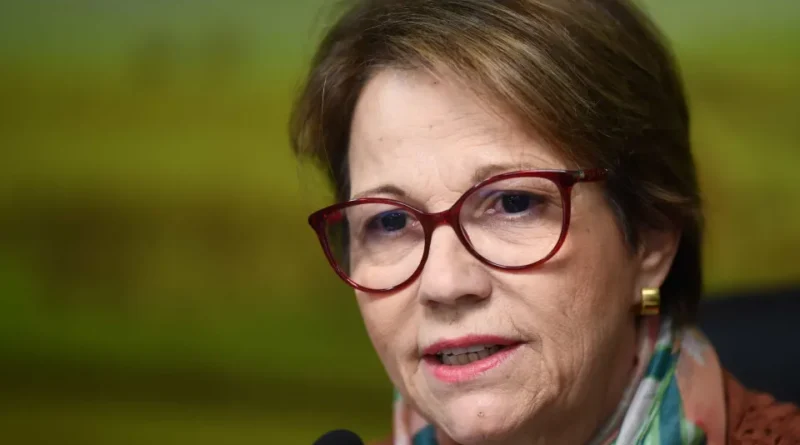 Senadora Tereza Cristina, cotada para vice de Flávio, integra instituto patrocinado por empresas