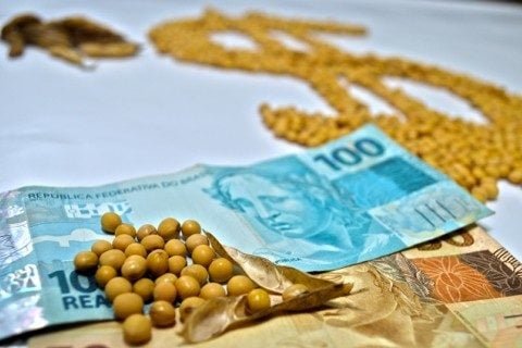 Soja tem alta movimentação nesta quinta-feira com atualização dos preços da oleaginosa