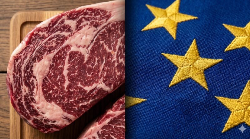 SRB expressa preocupação sobre possíveis restrições da UE à proteína animal do Brasil